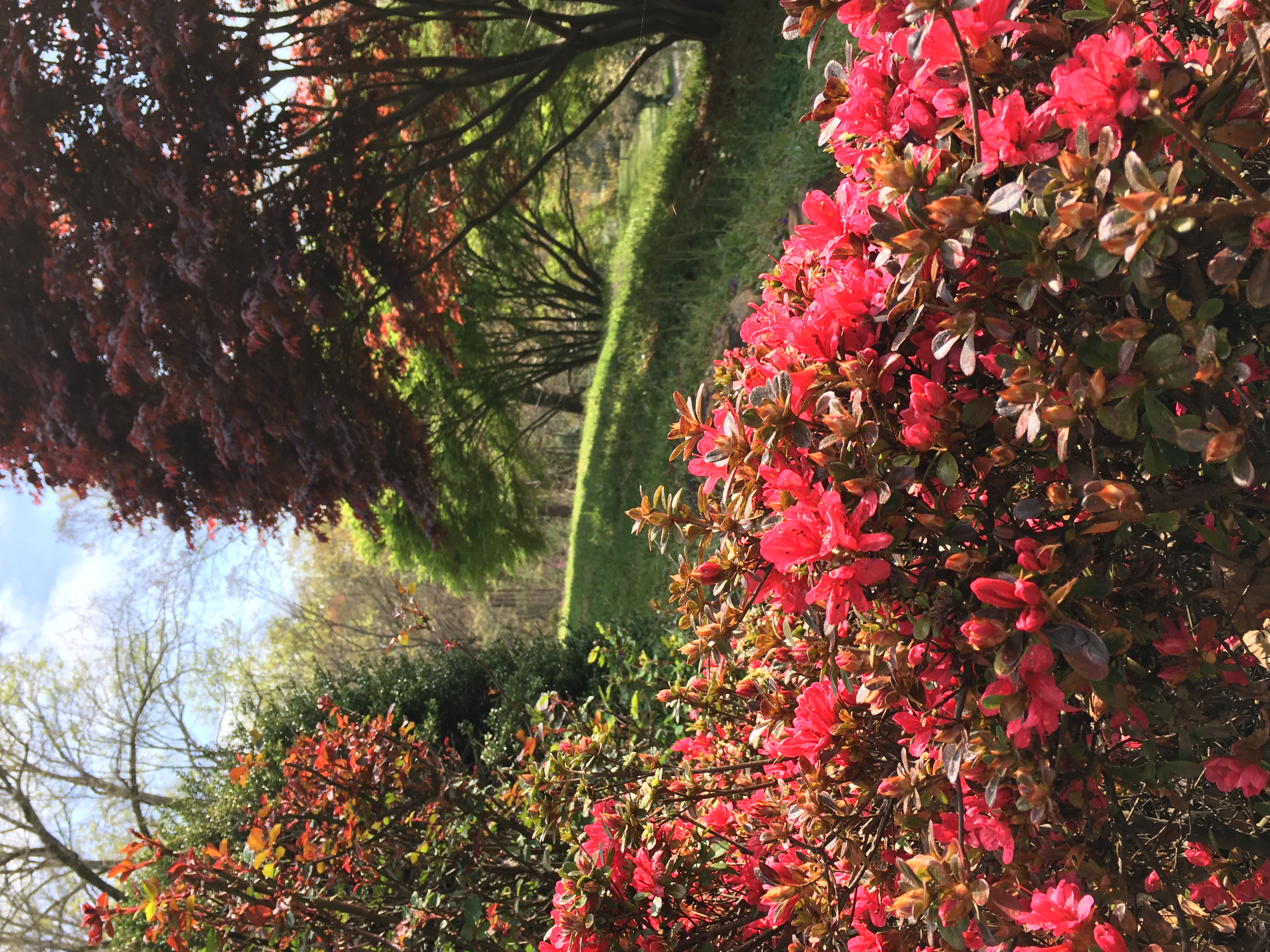 Spring